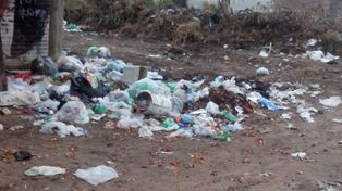 Vecinos piden que limpien un basural en Gaboto al 2000