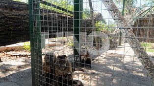 La Granja La Esmeralda recién reabriría sus puertas en marzo