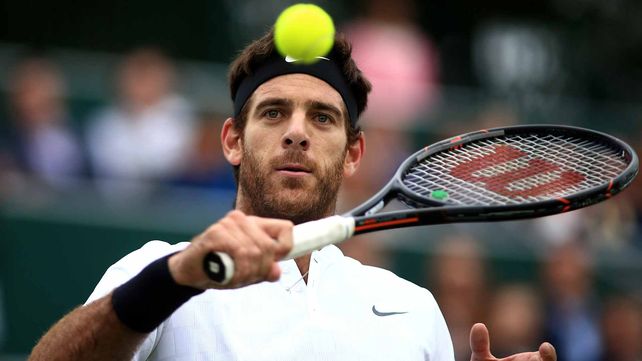 Del Potro vuelve a competir en Washington