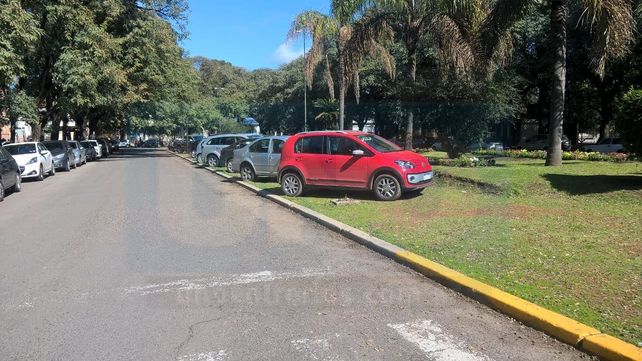 Esta mañana. Numerosos autos parados sobre los canteros del Parque.