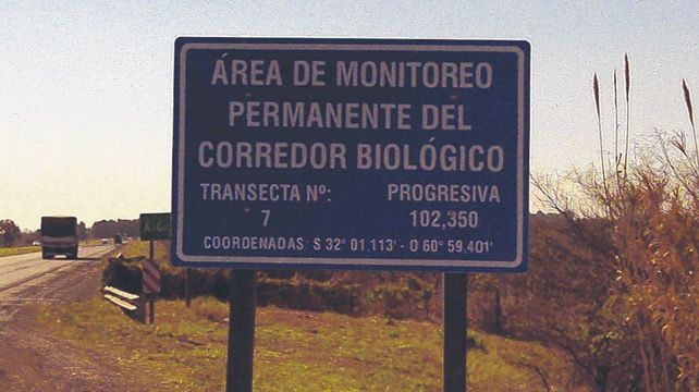 Integración. En la autopista se puso en marcha el corredor biológico hace una década para equilibrar un ecosistema alterado por el monocultivo.