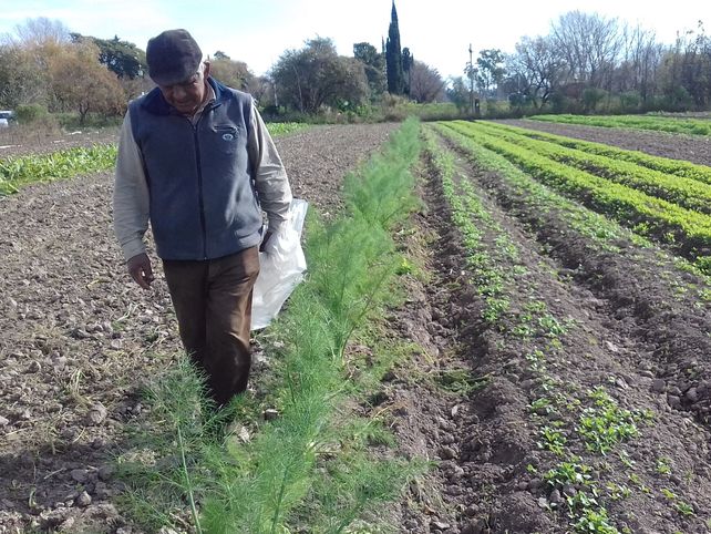 Avance. En los últimos años los alimentos producidos van directamente a los consumidores.