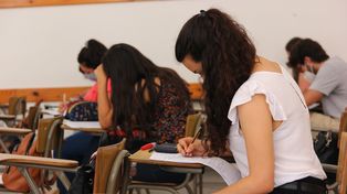 Licenciaturas que lideran la oferta académica de Ciencias Económicas