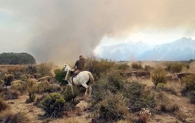 fuego en la cordillera. Un tropillero rescata ganado