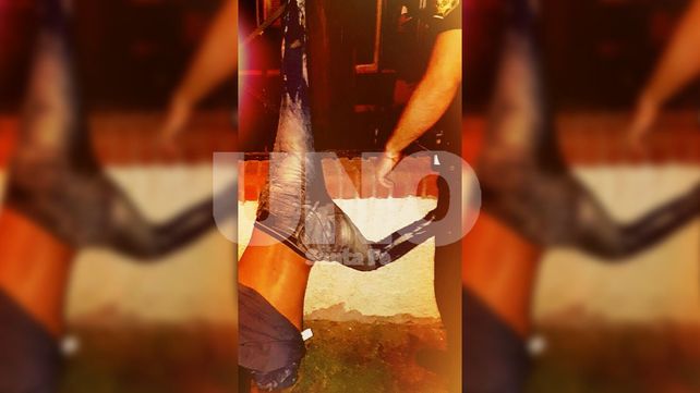 Sorpresa para los Policías. El delincuente se hizo encima&nbsp;