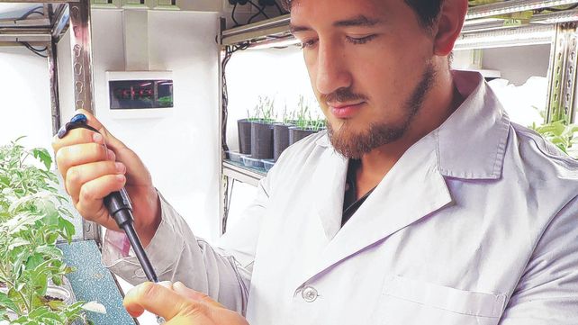El grupo rosarino Terragene