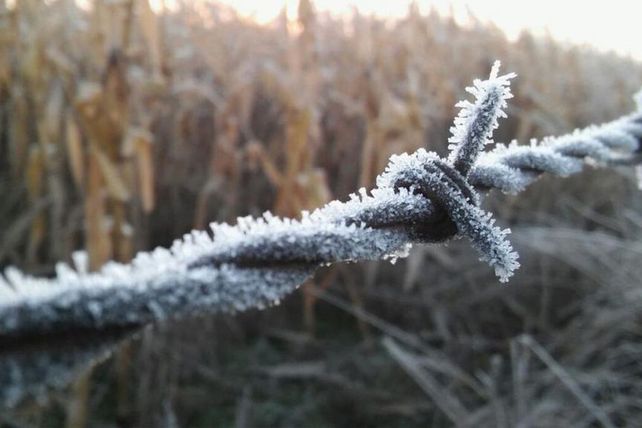 Junto con el frío, vuelven las heladas a los campos de la región