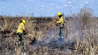 SNMF: se registran incendios activos en Entre Ríos