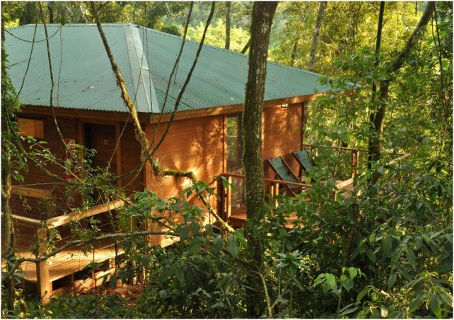 Moconá Virgin Lodge, viaje al centro de la selva misionera