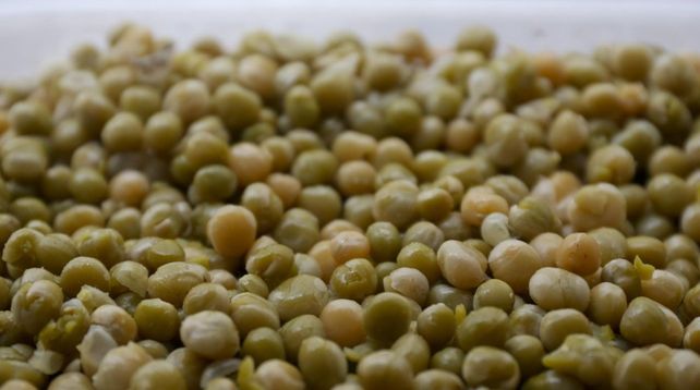 Las legumbres son especies que no solo traen beneficios agronómicos en las rotaciones de cultivos