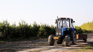 Día del Trabajador Rural: UATRE Entre Ríos denuncia alta precarización laboral y falta de condiciones dignas en los campos