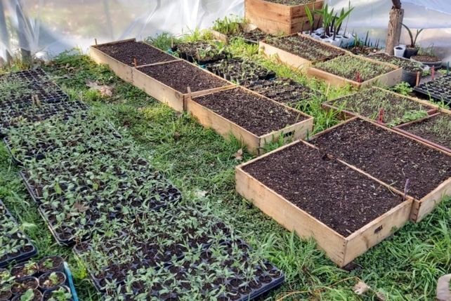 Rosario recibió un premio internacional por un proyecto de agricultura urbana