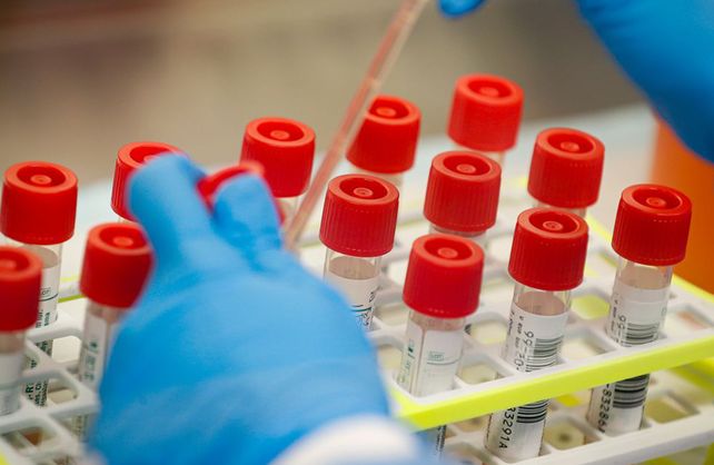 Coronavirus: son 12 los casos sospechosos en la ciudad de Santa Fe