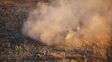 ruralistas piden que ley de humedales no sea una cortina de humo