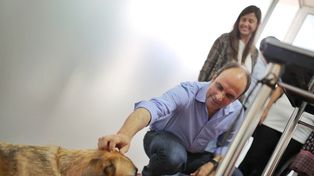 Comienza a funcionar la Casa de las Mascotas Norte