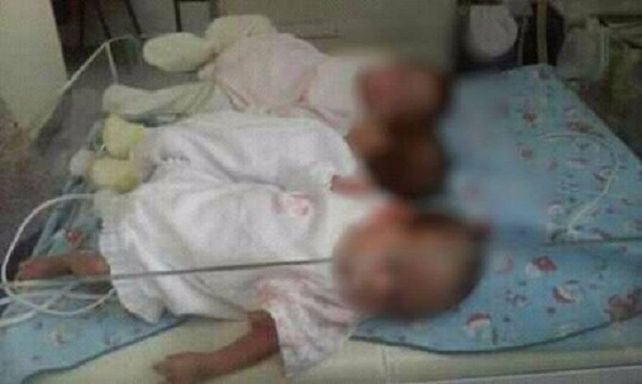 El drama de las trillizas abandonadas que buscan una familia que las adopte