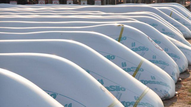 El stock de cereales tenía un valor real $150 millones de pesos superior al informado por importante productor agropecuario de Santa Fe