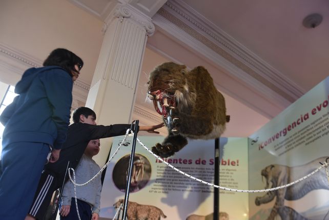 Los chicos disfrutaban este miércoles de los diversos espacios de la muestra.