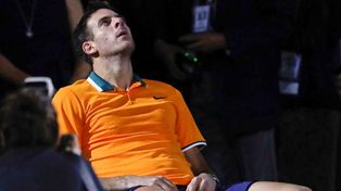 del potro