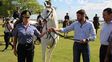 El ministro de Seguridad entregó 35 caballos para la policía de Rosario 