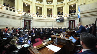 El Senado busca rechazar el veto de los ATN.