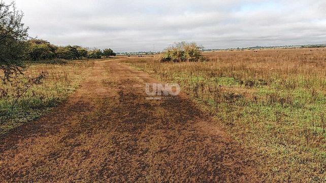 Fiesta clandestina en Santa Fe. En un descampado