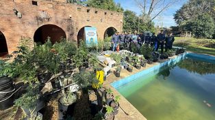 La casa quinta de Ibarlucea donde se secuestraron plantas de marihuana y hojas procesadas.