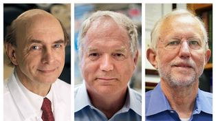 Nobel de Medicina fue para científicos que descubrieron el virus de la hepatitis C