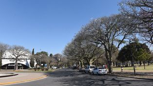 Un original plan para conocer la biodiversidad del parque Urquiza