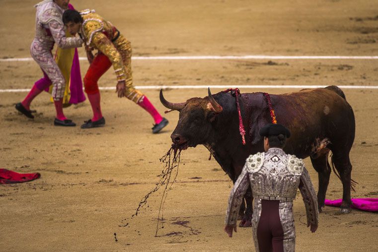 Tres Toreros Heridos En Una Corrida