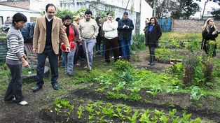 La huerta urbana del Solar de Juventud del Norte ya comercializa su producción