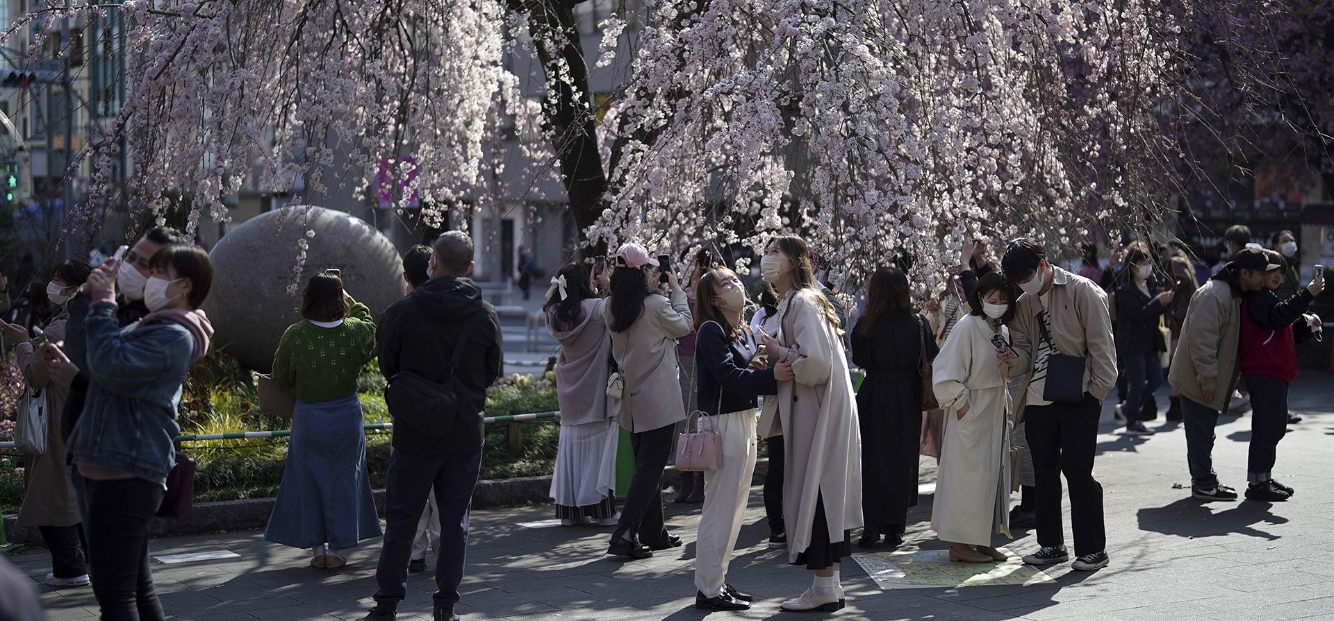 Las personas que usan máscaras protectoras para ayudar a frenar la propagación del coronavirus observan los cerezos en flor en el parque Ueno, el jueves 24 de marzo de 2022 en Tokio.