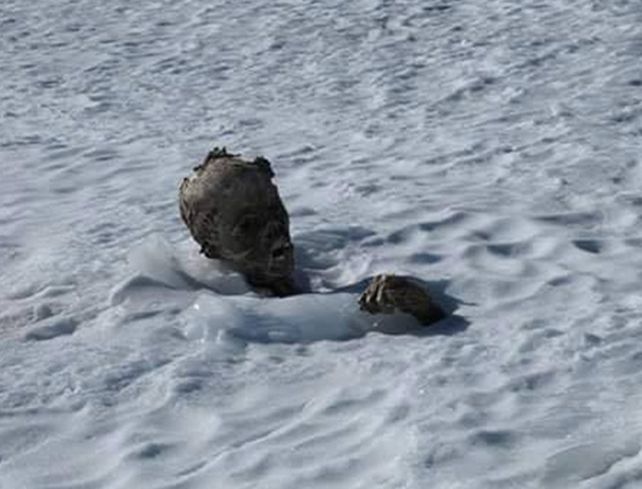 La momia encontrada podria ser un montañista que se extravió hace más de 50 años.