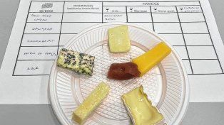 La especialización en Fromagelier contó con una instancia presencial en Gualeguaychú donde participaron alumnos de Argentina, Paraguay y Chile