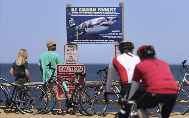 Una pareja se para junto a una señal de advertencia de tiburones en Lecount Hollow Beach en Wellfleet