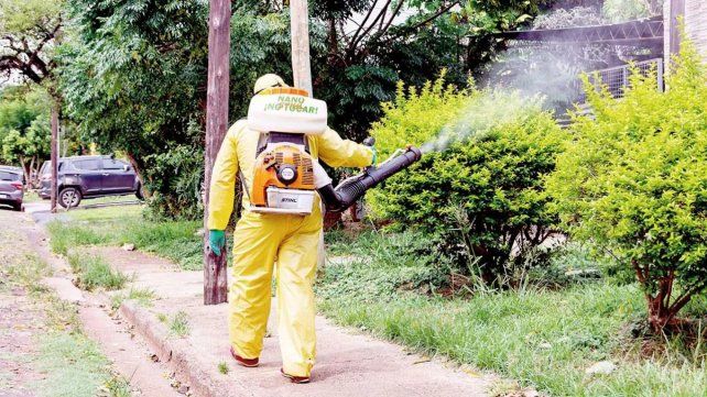 Misiones tuvo 450 casos de dengue en los últimos 30 días