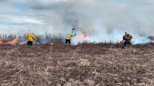 Incendios en humedales del Paraná: alertan por pérdida de fertilidad