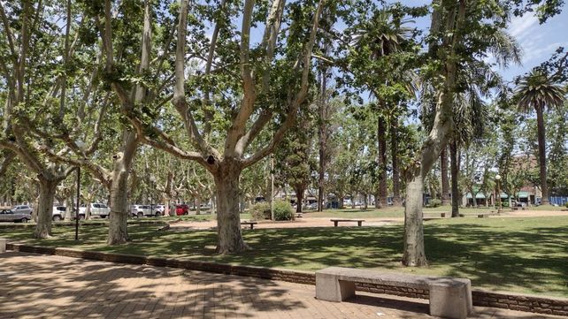 La instrumentación de lo dispuesto se llevará adelante de manera progresiva