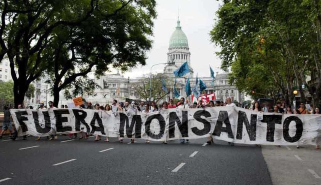 Monsanto anunció que invertirá 10 millones de dólares en el desarrollo del maíz