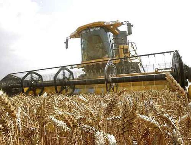 Las labores comenzaron en lotes muy puntuales