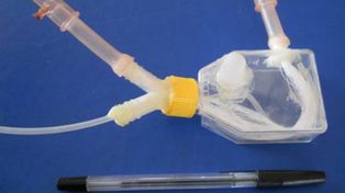 Una becaria de Conicet ensaya diferentes diseños para un hígado artificial