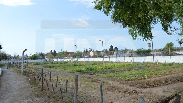 Huerta de la UP