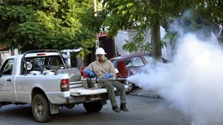 El Ministerio de Salud de Córdoba confirmó 21 casos de dengue autóctono