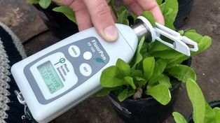 Nanoherbicidas para reducir el impacto ambiental del agro