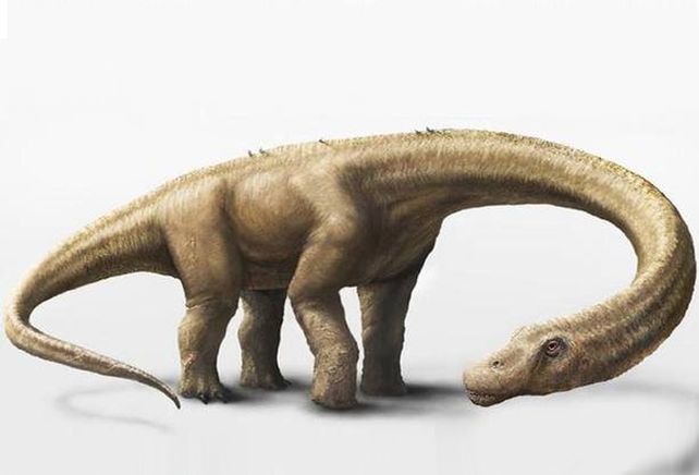 Descubren un dinosaurio gigante en la Patagonia