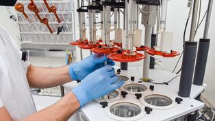 Biocontroladores: transitando el cambio de paradigmas