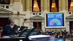 La Cámara de Diputados volverá a tratar este año bajar la edad de imputabilidad a los menores.