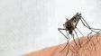 Hay circulación viral de dengue en 14 provincias argentinas.