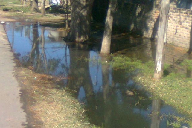 Barrio Alfonso: vecinos de la zona denuncian el ingreso de líquidos cloacales a sus casas