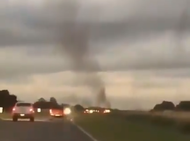 Video:  un sorprendente tornado de mosquitos invadió la ruta